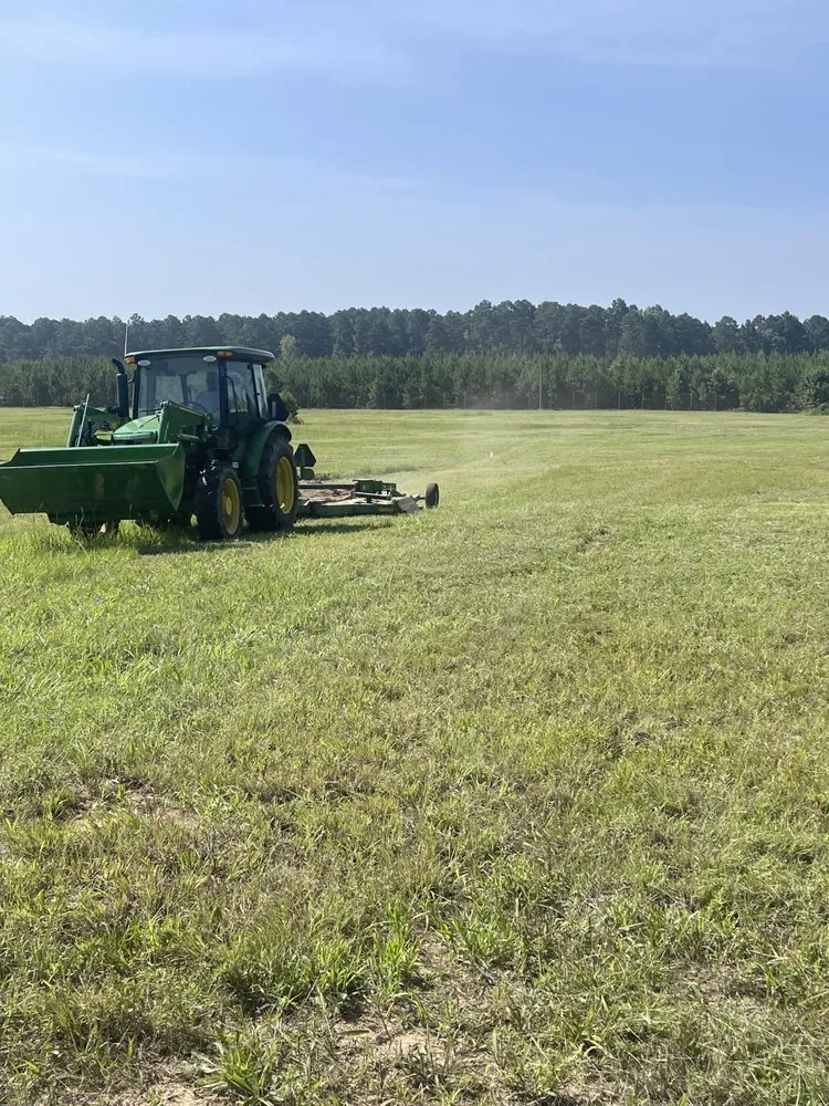 Reliable garden landscaping with custom design in Omaha, TX by GNR Land Improvement