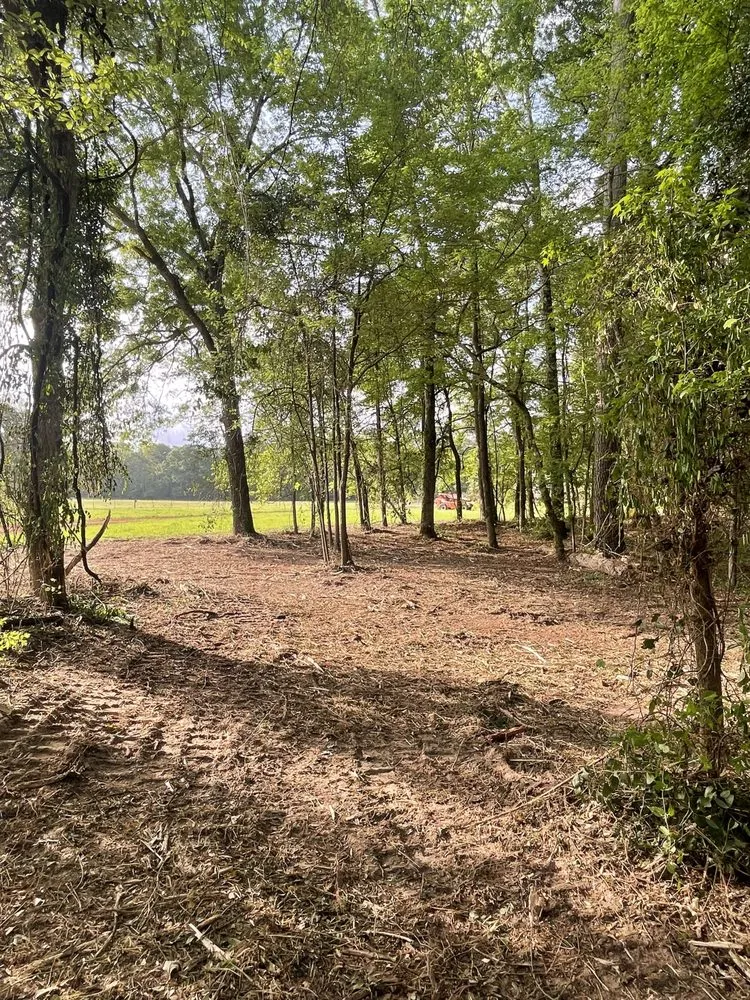 Affordable residential landscaping in Omaha, TX - GNR Land Improvement