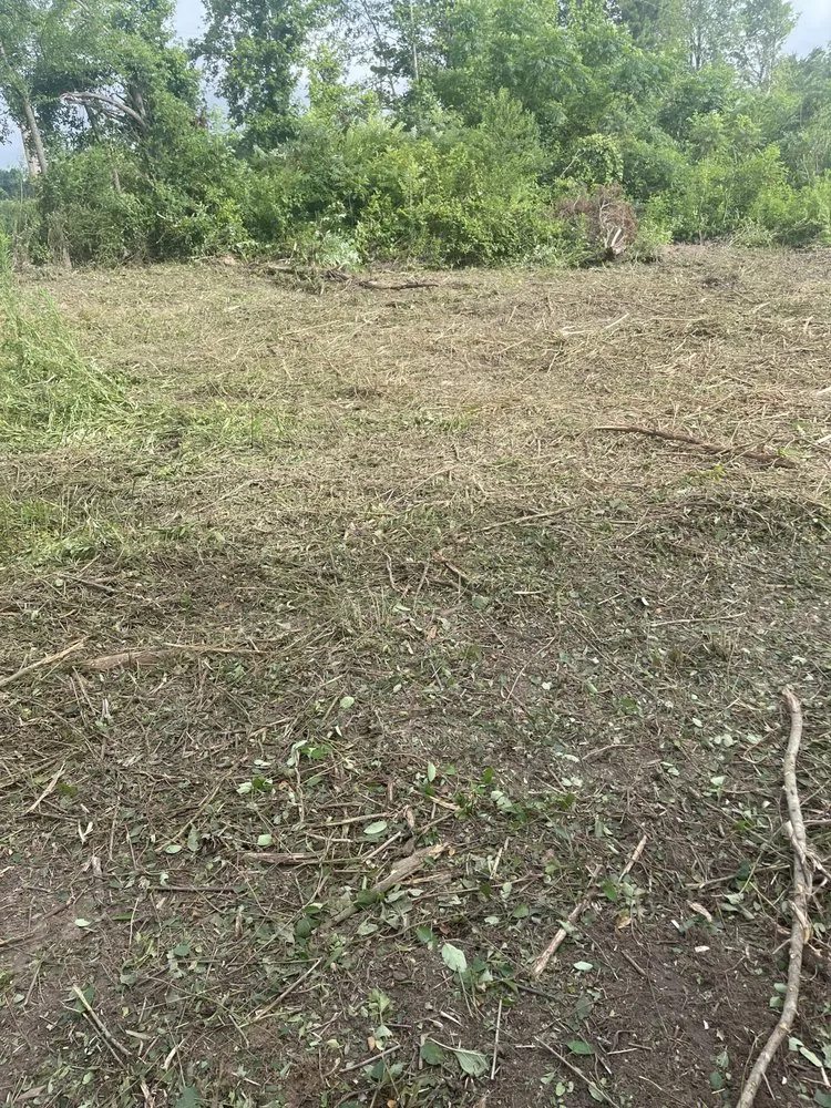 Expert residential landscaping for residential properties in Omaha, TX by GNR Land Improvement