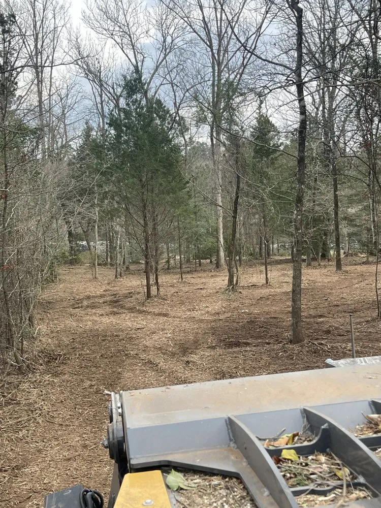 Affordable yard maintenance in Omaha, TX by GNR Land Improvement