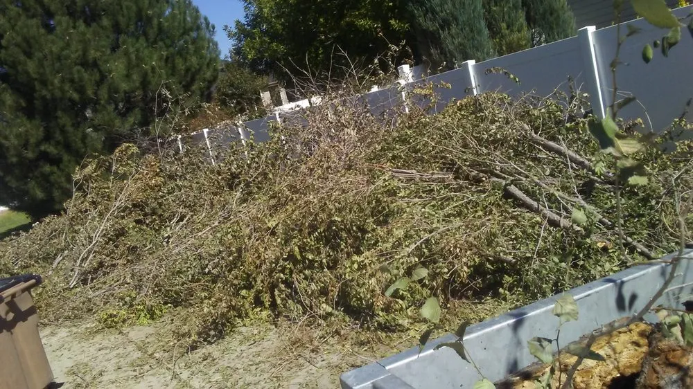 Trusted yard cleanup service in Salt Lake City, UT by GNR Landscaping