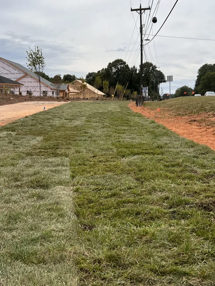 Professional lawn mowing service for year-round maintenance across Blue Ridge, GA - Go 2 Landscapes