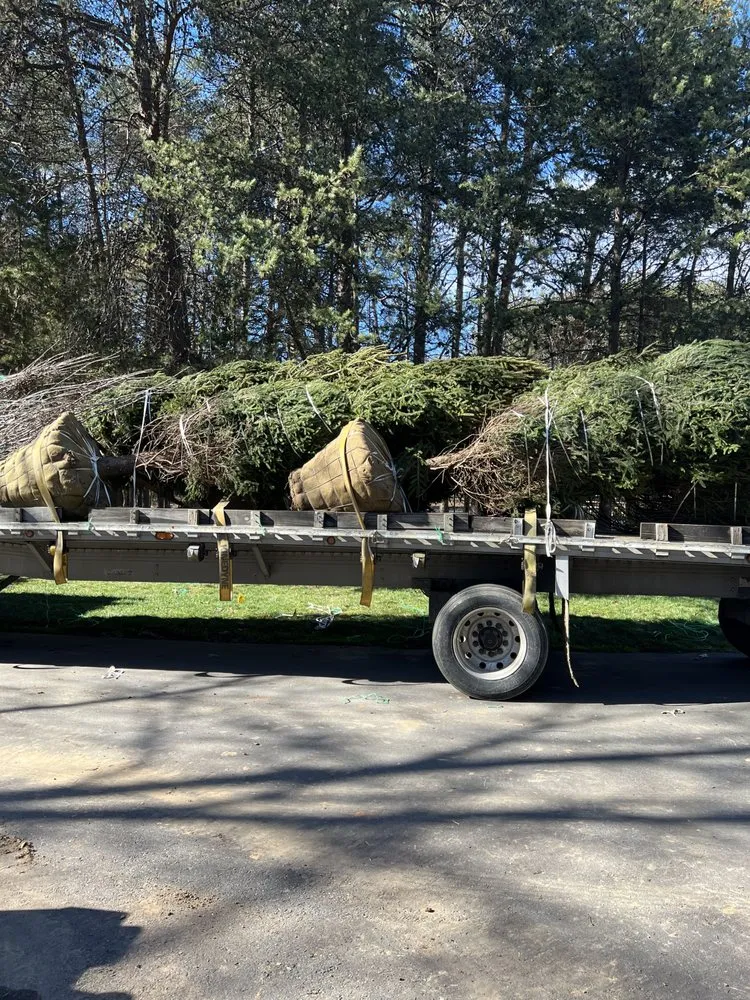 Custom landscape installation experts serving Blue Ridge, GA - Go 2 Landscapes