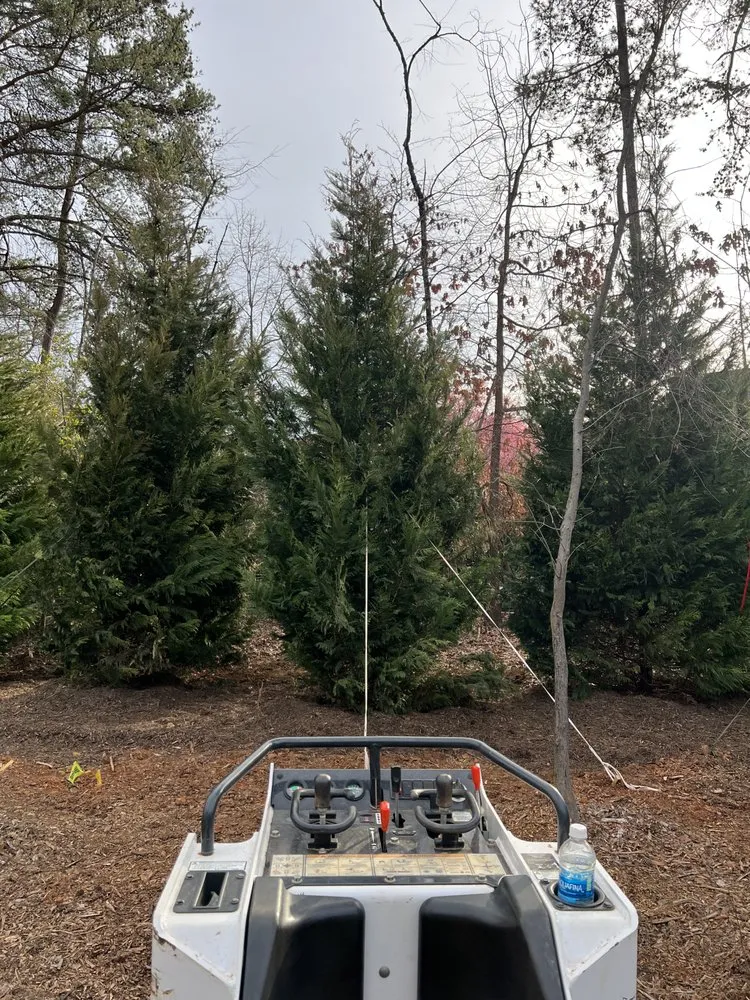 Custom outdoor landscaping in Blue Ridge, GA by Go 2 Landscapes