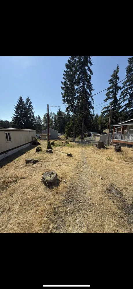 Top-rated landscape installation in Spanaway, WA by Go Big Lawn Care & Outdoor Services