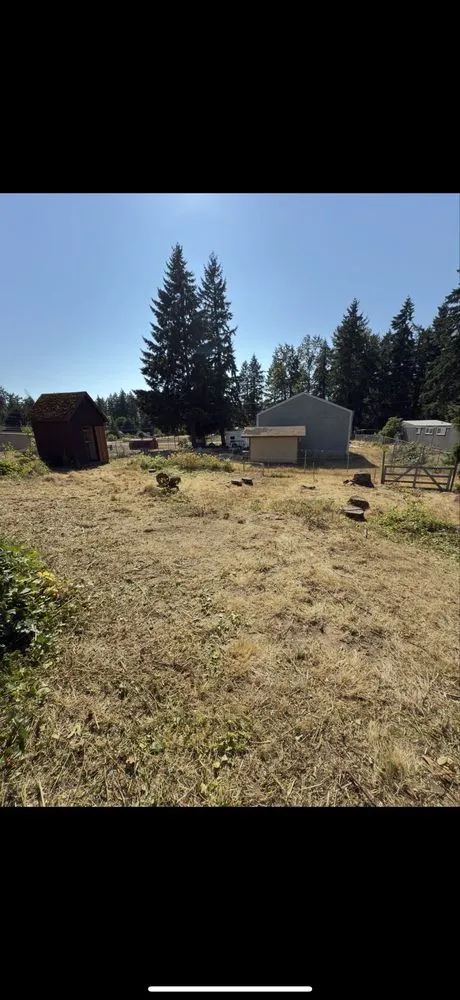 Trusted residential landscaping near you in Spanaway, WA by Go Big Lawn Care & Outdoor Services