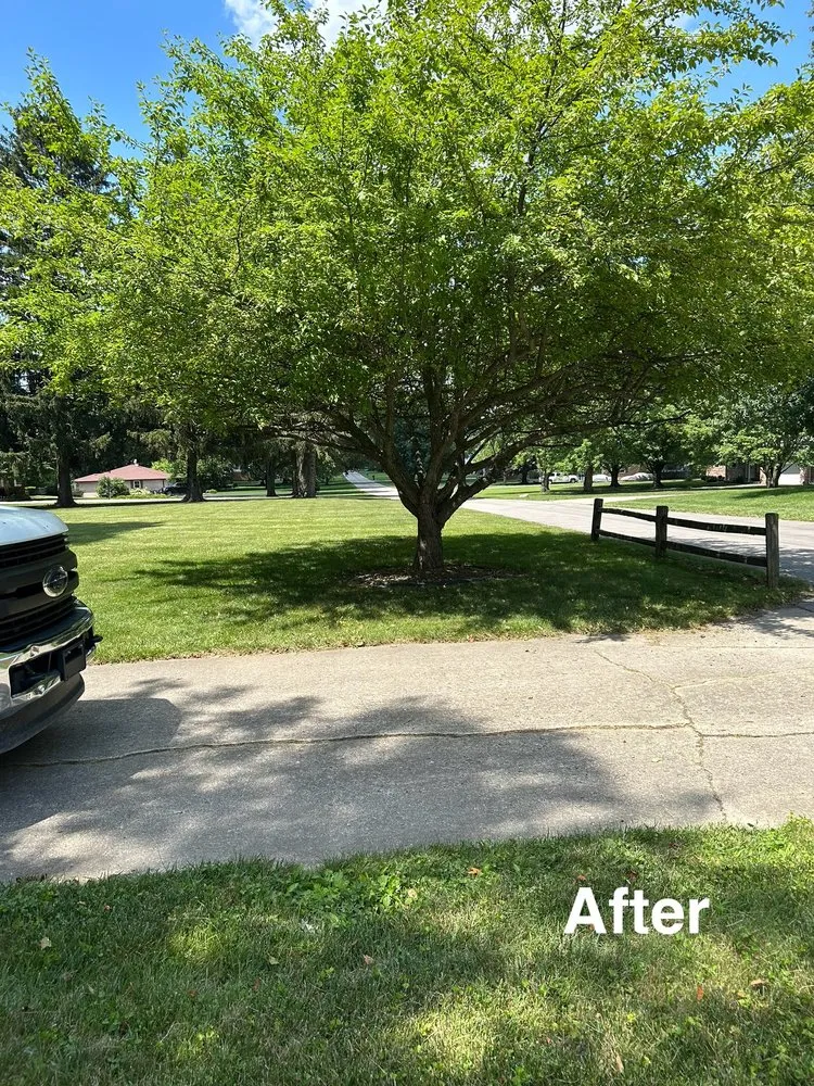 Custom landscape installation in Anderson, IN - GO Concrete & Patios