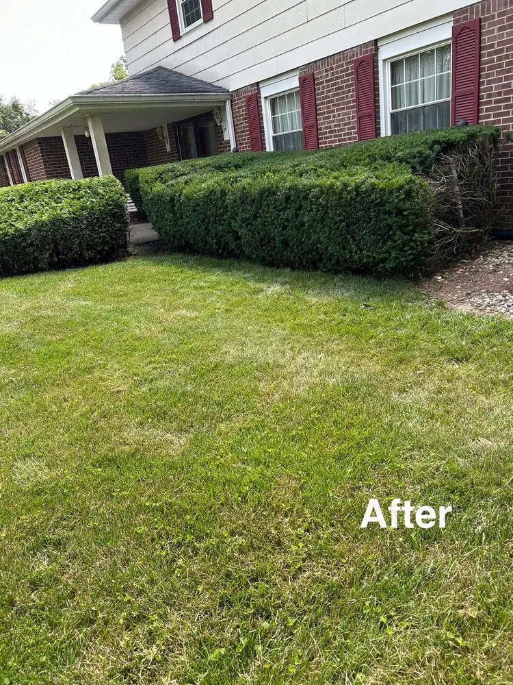 Custom landscape design for outdoor upgrades across Anderson, IN - GO Concrete & Patios