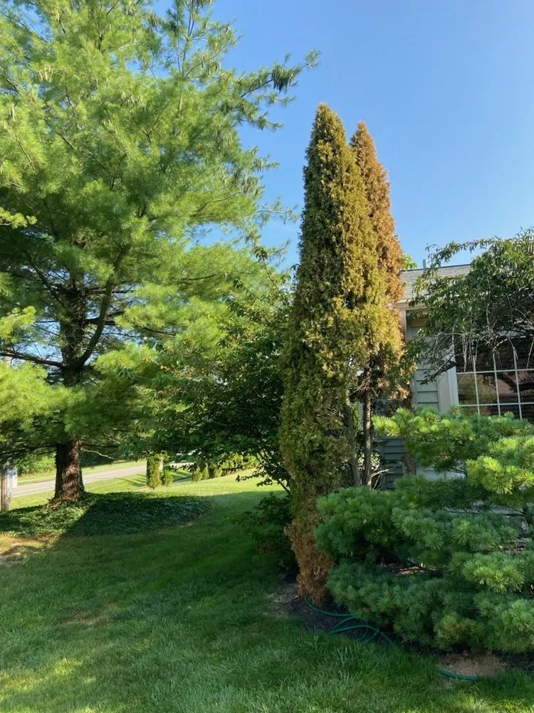 Top-rated outdoor landscaping for homes across Milford, OH - Go Flo Lawn-Care and Landscaping Services