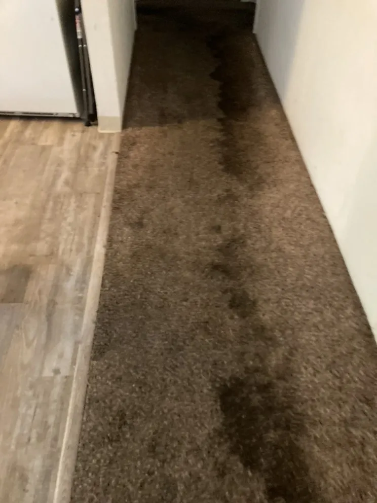 Local yard cleanup service in Oroville, CA by Go For Spain