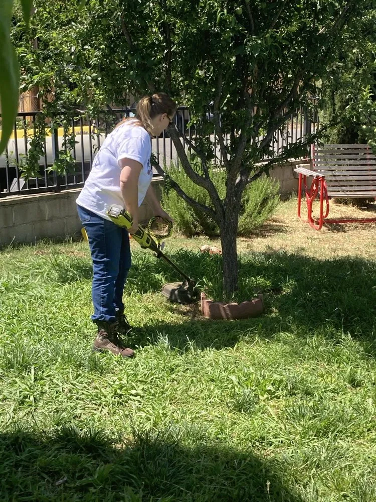 Professional landscape design for year-round maintenance across Oroville, CA - Go For Spain