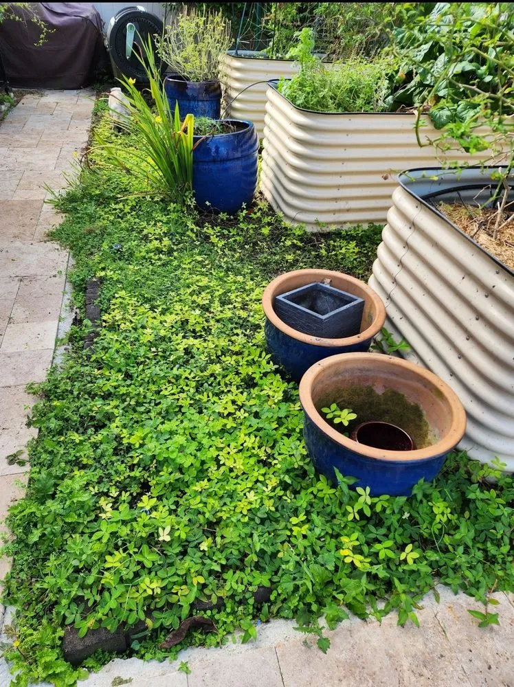 Professional garden landscaping in Lake Worth, FL by Go Forever Green Artificial Grass & Ivy