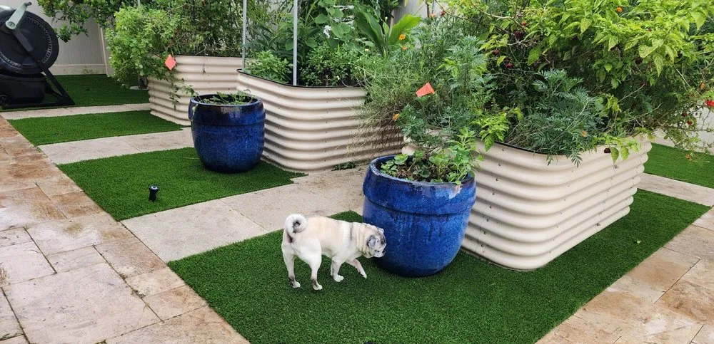 Top-rated yard maintenance in Lake Worth, FL by Go Forever Green Artificial Grass & Ivy