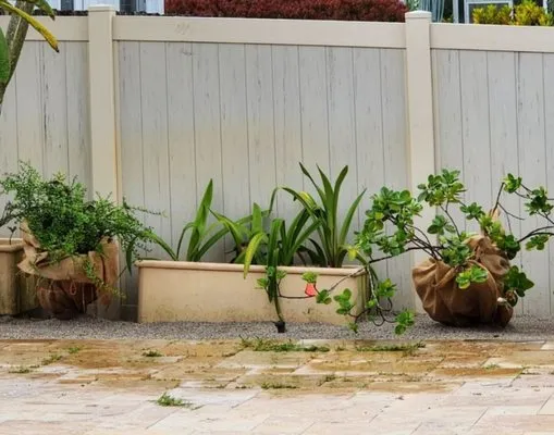 Go Forever Green Artificial Grass & Ivy