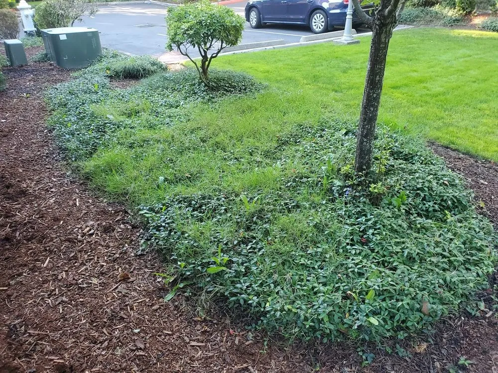 Affordable garden landscaping experts serving Covington, WA - Go Forth Landscaping
