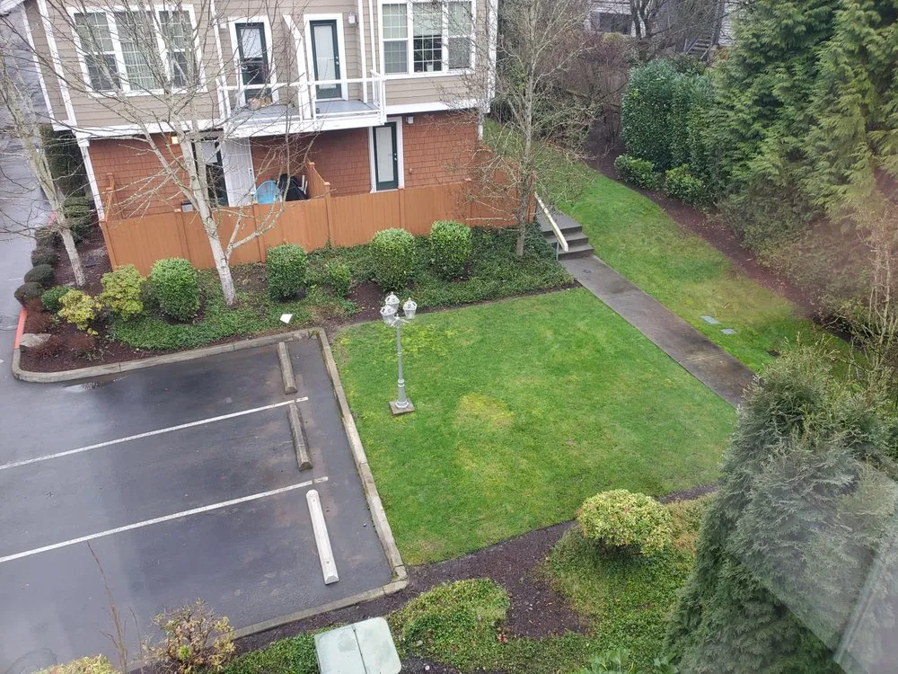 Custom lawn care service with custom design across Covington, WA - Go Forth Landscaping