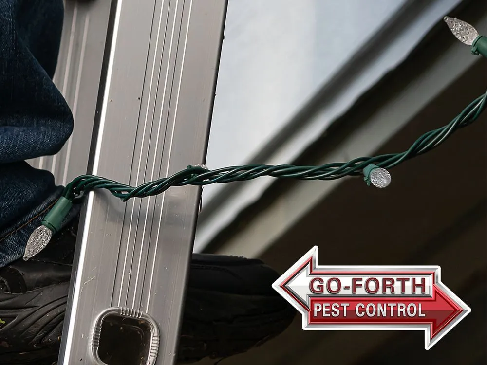 Local landscape installation in Hickory, NC by Go-Forth Pest Control