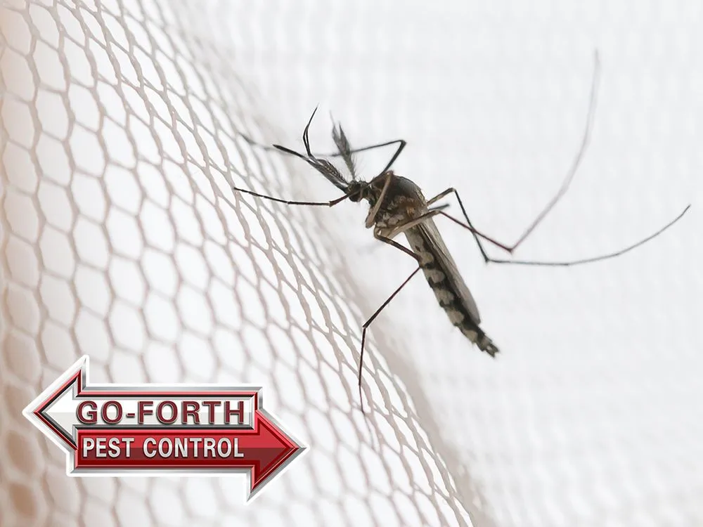 Top-rated outdoor landscaping in Hickory, NC by Go-Forth Pest Control