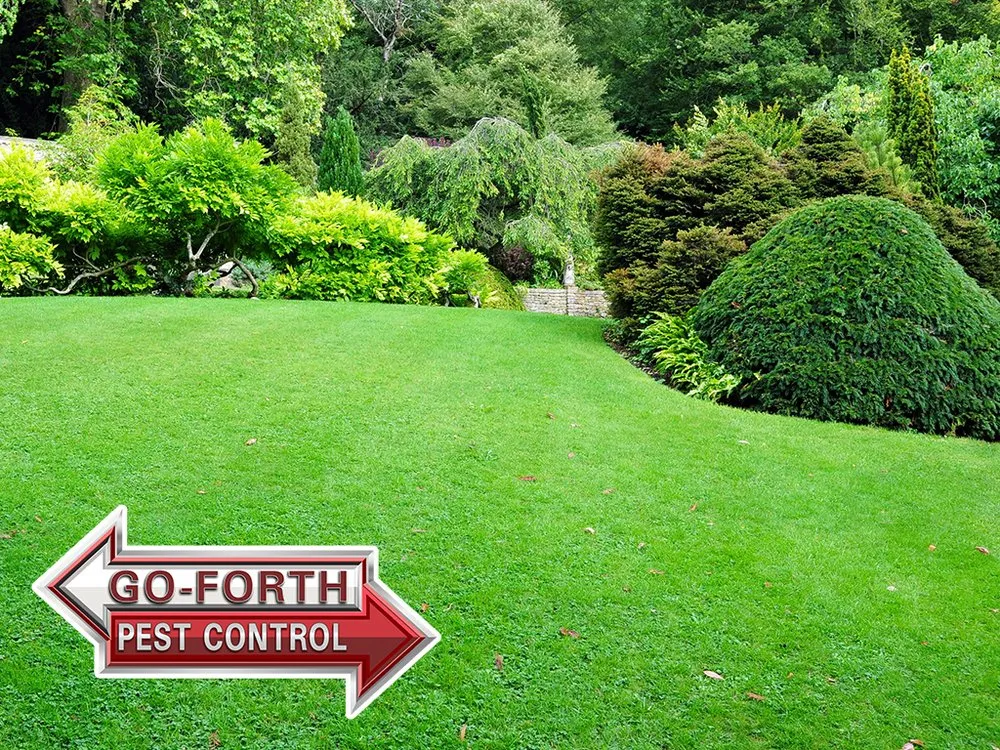 Local outdoor landscaping with custom design across Hickory, NC - Go-Forth Pest Control