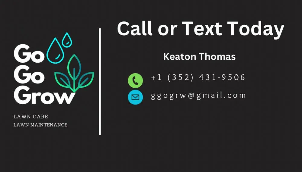 Top-rated yard cleanup service experts serving Groveland, FL - Go Go Grow