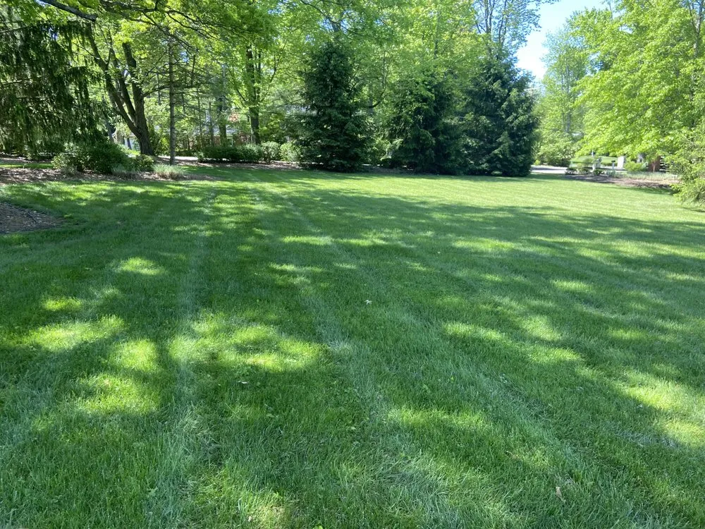 Reliable yard maintenance for homes across Cincinnati, OH - GO Grass