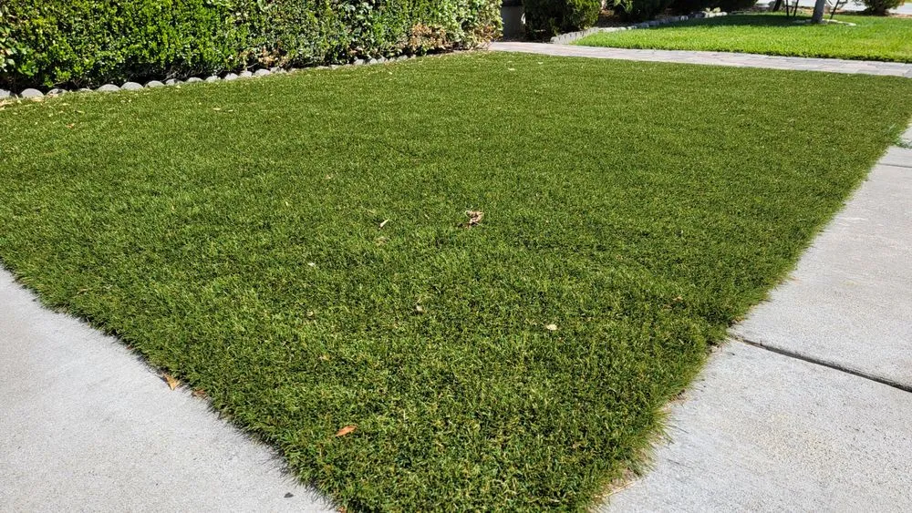 Reliable yard cleanup service for beautiful yards in Hacienda Heights, CA by Go green - Stay Green