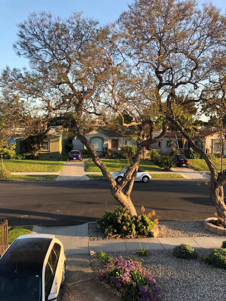 Custom lawn mowing service for homes in Hacienda Heights, CA by Go green - Stay Green