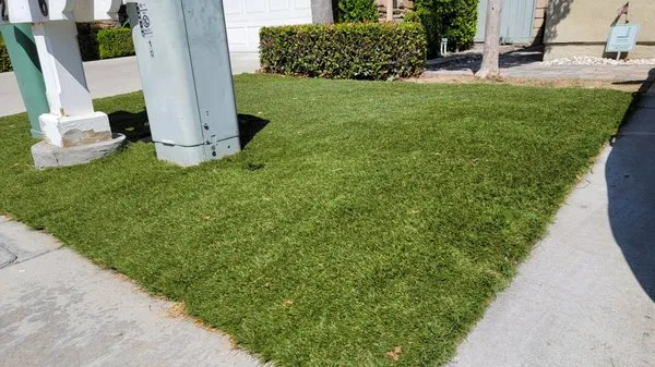 Go green - Stay Green