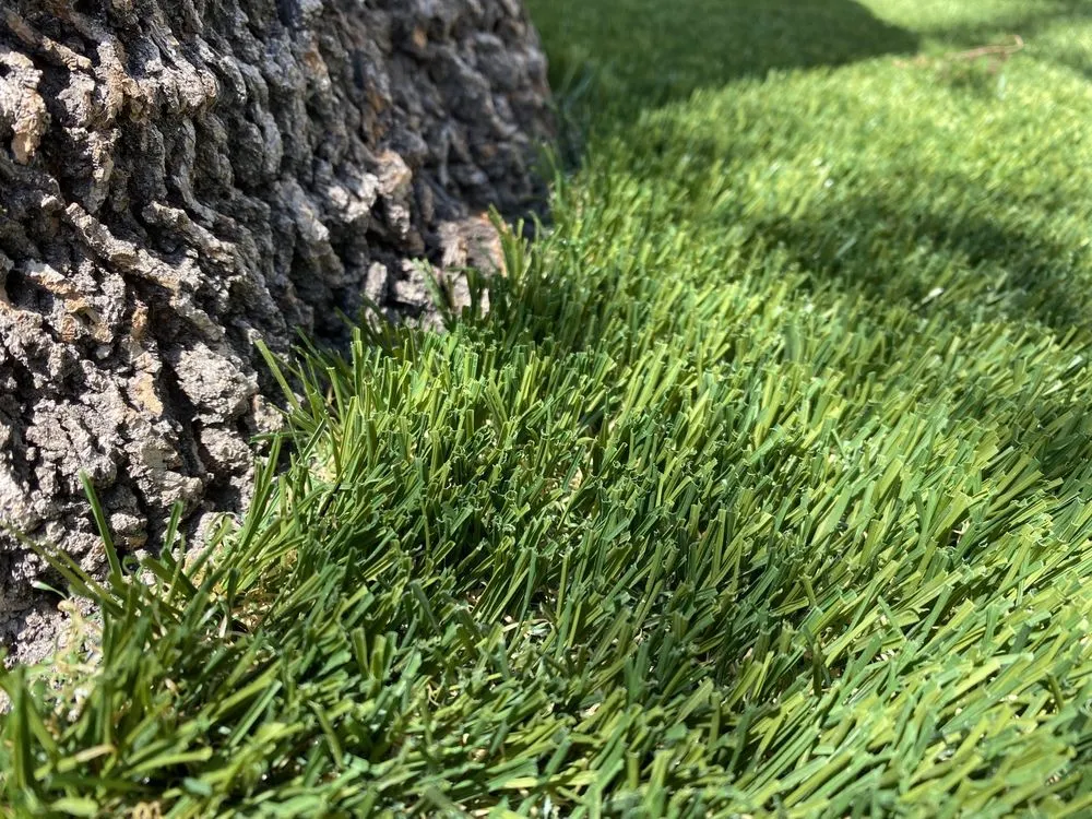 Professional landscape design in Azusa, CA by Go Green