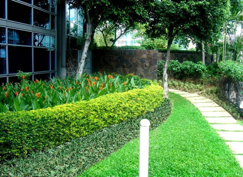 Affordable yard cleanup service in Long Beach, CA by Go Green Commercial Landscaping