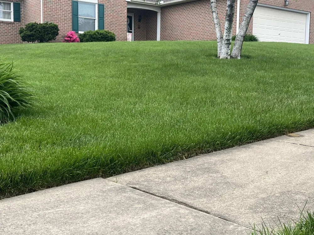 Custom landscaping services in Red Lion, PA by Go Green Customized Lawn Care