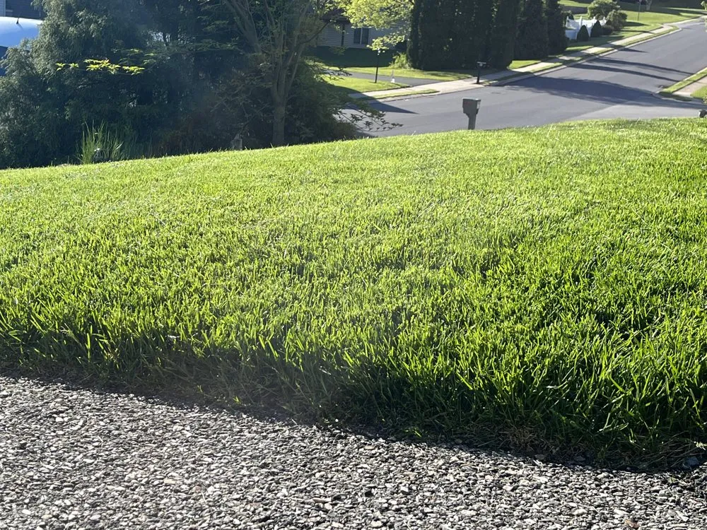 Reliable outdoor landscaping experts serving Red Lion, PA - Go Green Customized Lawn Care