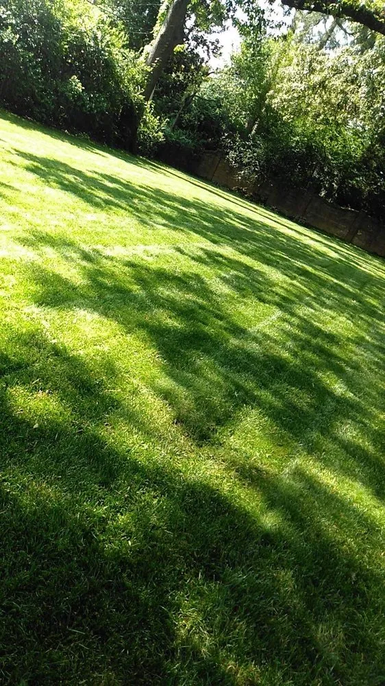 Top-rated residential landscaping for year-round maintenance across Memphis, TN - Go Green Cuts