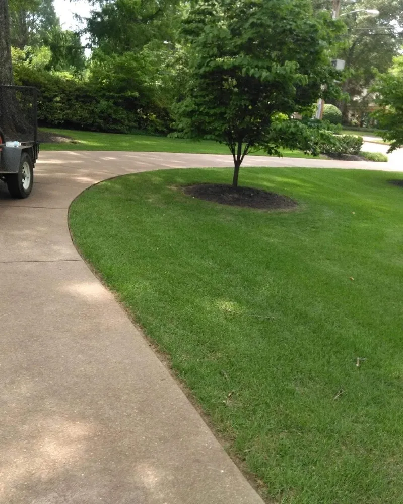 Affordable residential landscaping in Memphis, TN - Go Green Cuts