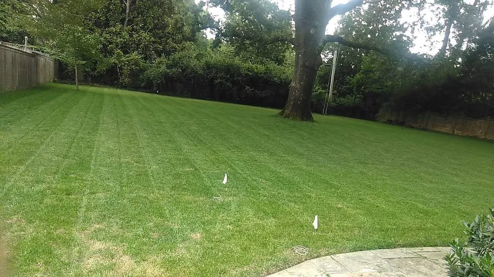 Professional garden landscaping for beautiful yards in Memphis, TN by Go Green Cuts