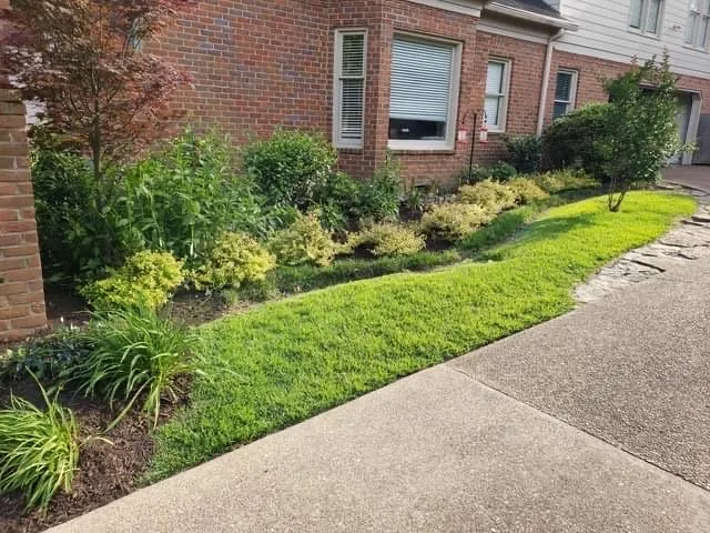 Local yard cleanup service near you in Memphis, TN by Go Green Cuts