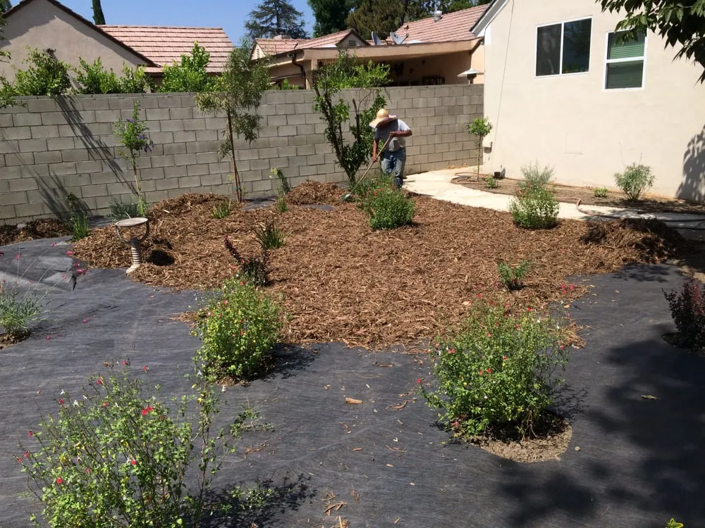 Affordable yard cleanup service in Los Angeles, CA - Go Green Gardeners
