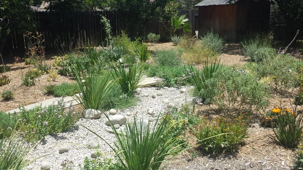 Custom yard cleanup service in Los Angeles, CA by Go Green Gardeners