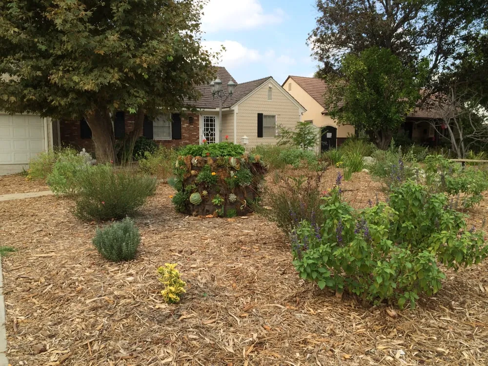 Trusted garden landscaping experts serving Los Angeles, CA - Go Green Gardeners