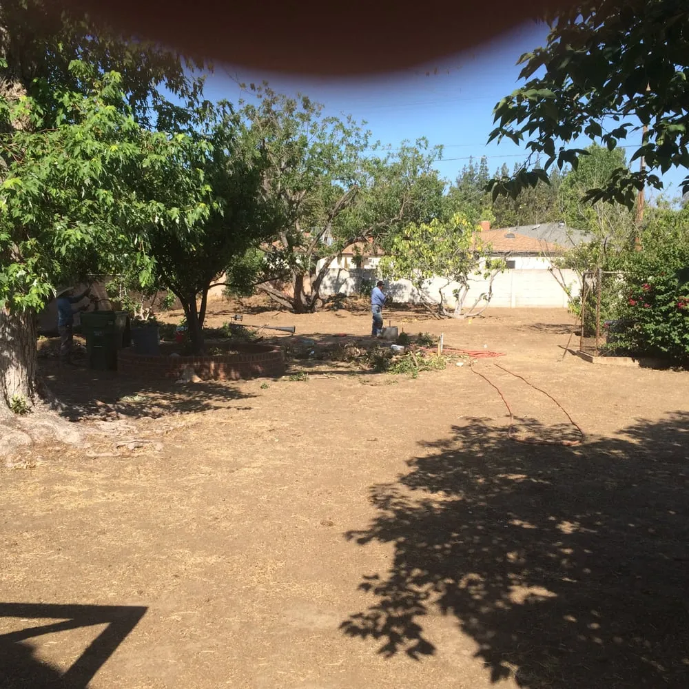 Custom landscaping services for outdoor upgrades across Los Angeles, CA - Go Green Gardeners