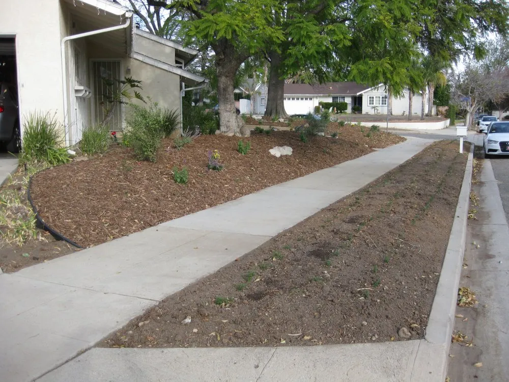 Reliable yard maintenance in Los Angeles, CA - Go Green Gardeners