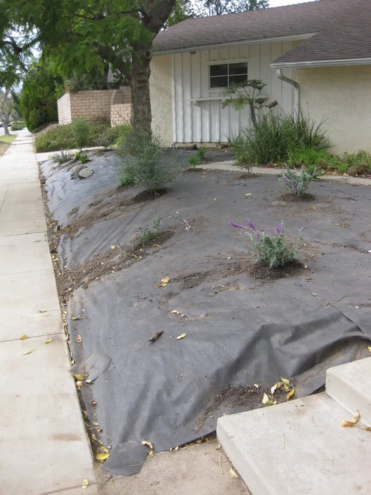 Affordable landscape design in Los Angeles, CA - Go Green Gardeners