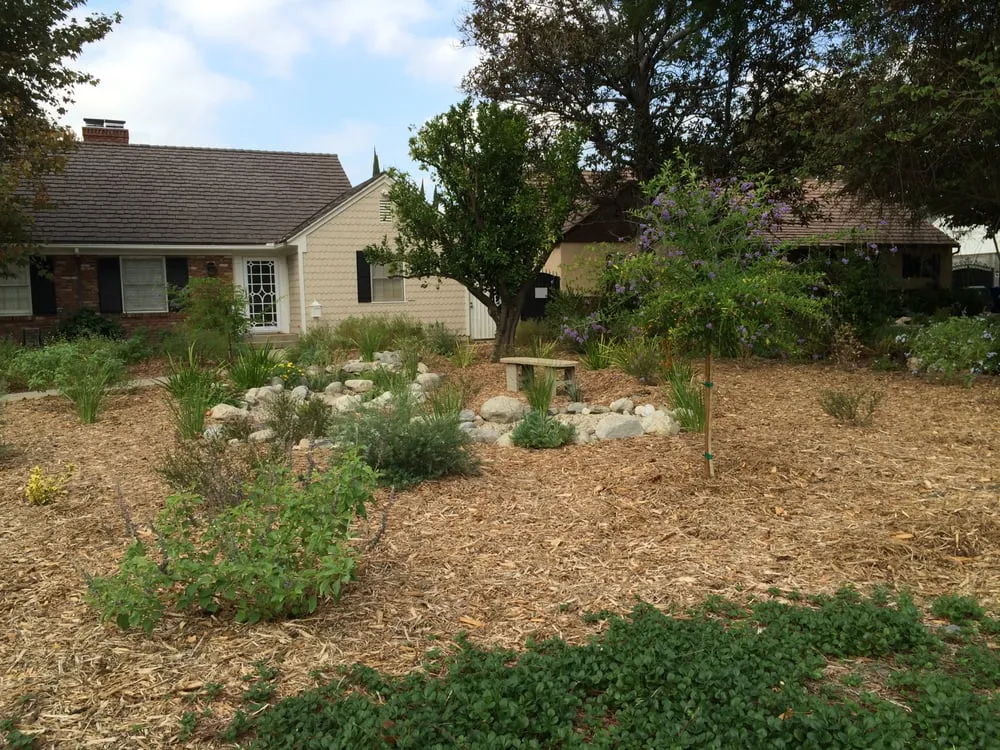 Professional residential landscaping in Los Angeles, CA by Go Green Gardeners