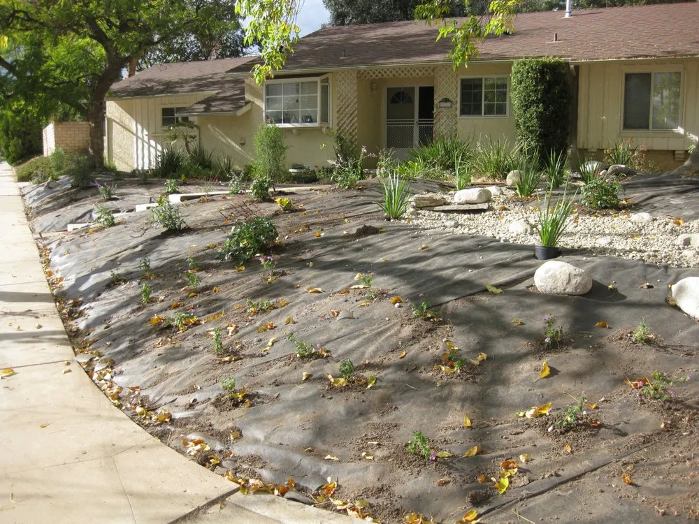 Reliable lawn mowing service experts serving Los Angeles, CA - Go Green Gardeners