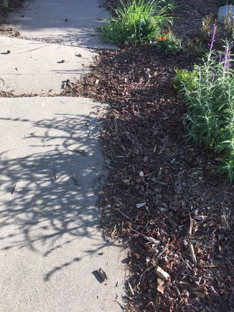 Affordable yard cleanup service for residential properties across Los Angeles, CA - Go Green Gardeners