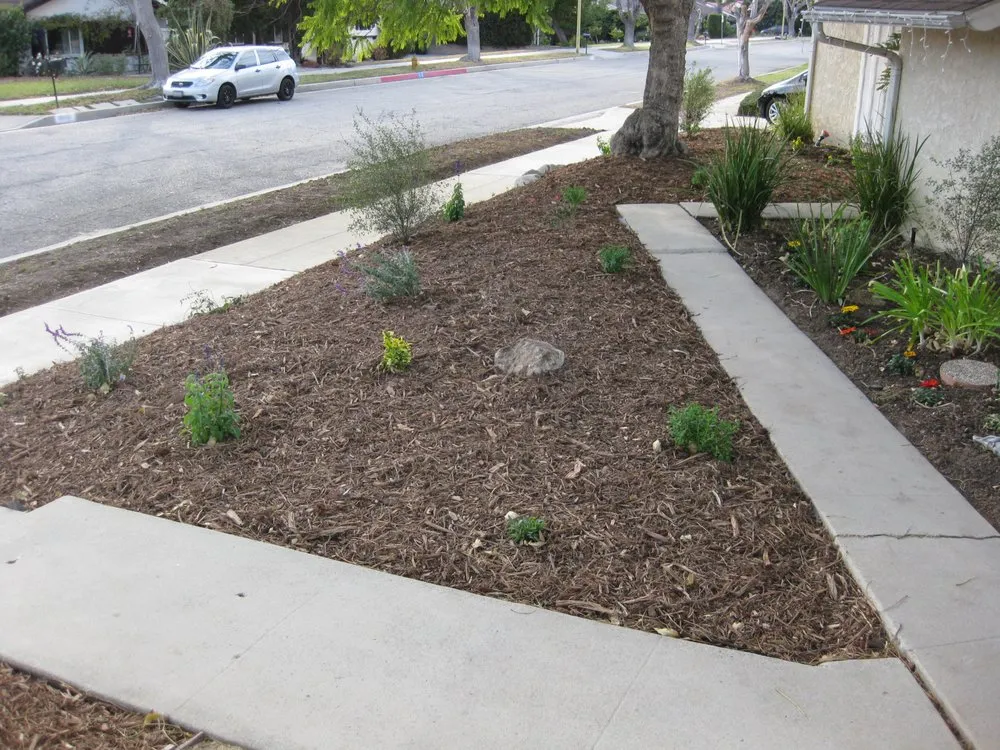 Professional landscape installation in Los Angeles, CA - Go Green Gardeners