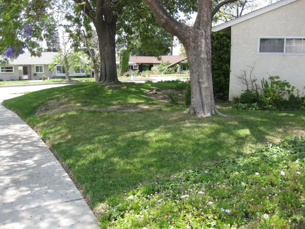 Trusted landscape installation experts serving Los Angeles, CA - Go Green Gardeners