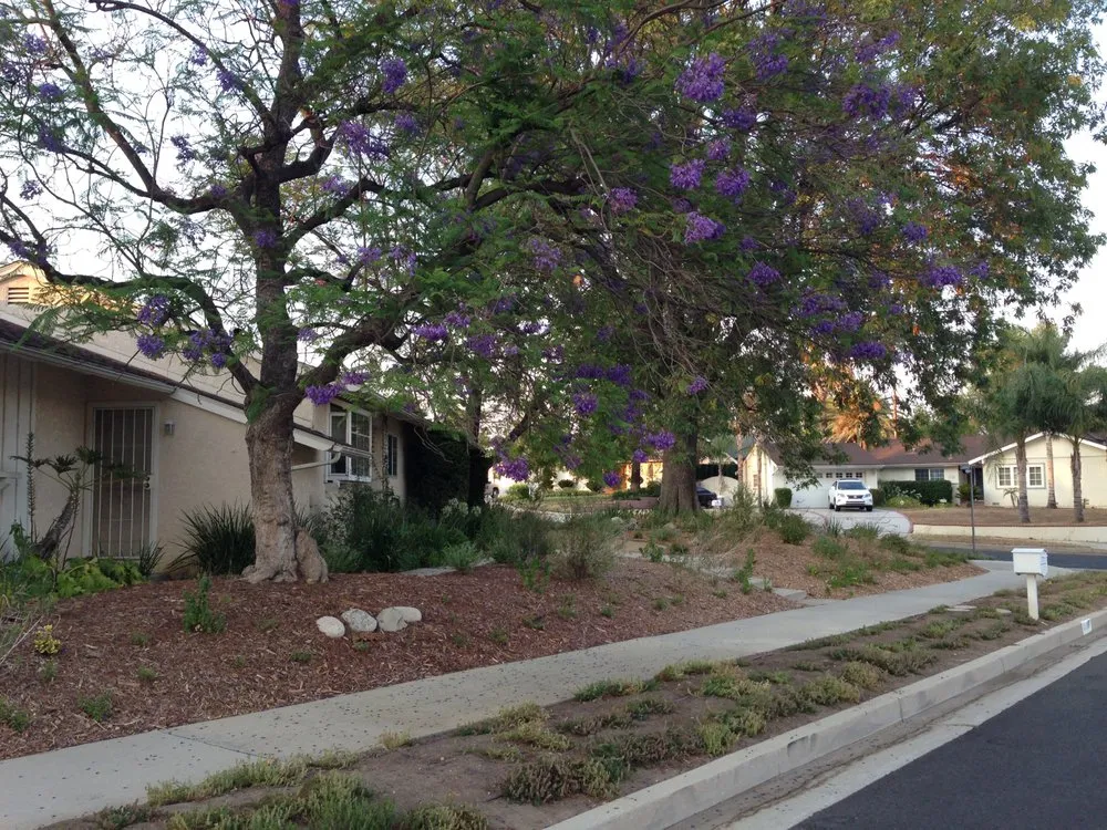 Affordable yard cleanup service in Los Angeles, CA by Go Green Gardeners