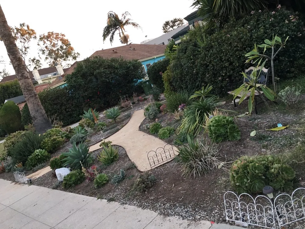 Top-rated residential landscaping with custom design in Los Angeles, CA by Go Green Gardeners