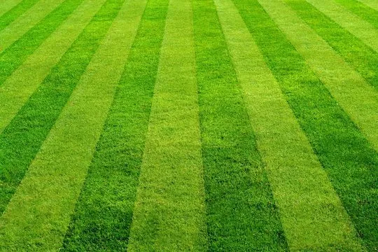 Trusted lawn mowing service in Christiansburg, VA by Go-Green Handyman Services